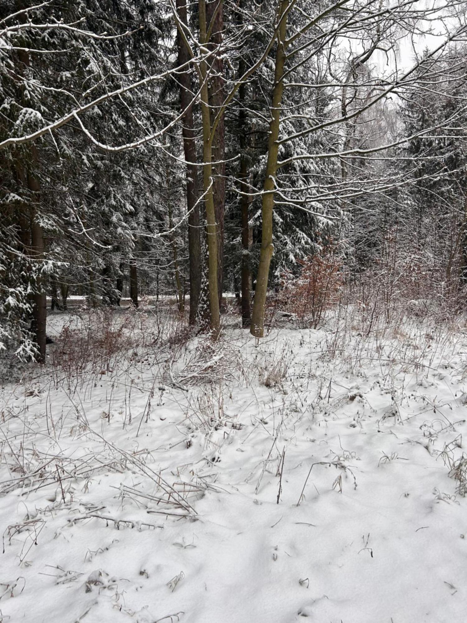 Willa Kaliniec Karpacz Esterno foto